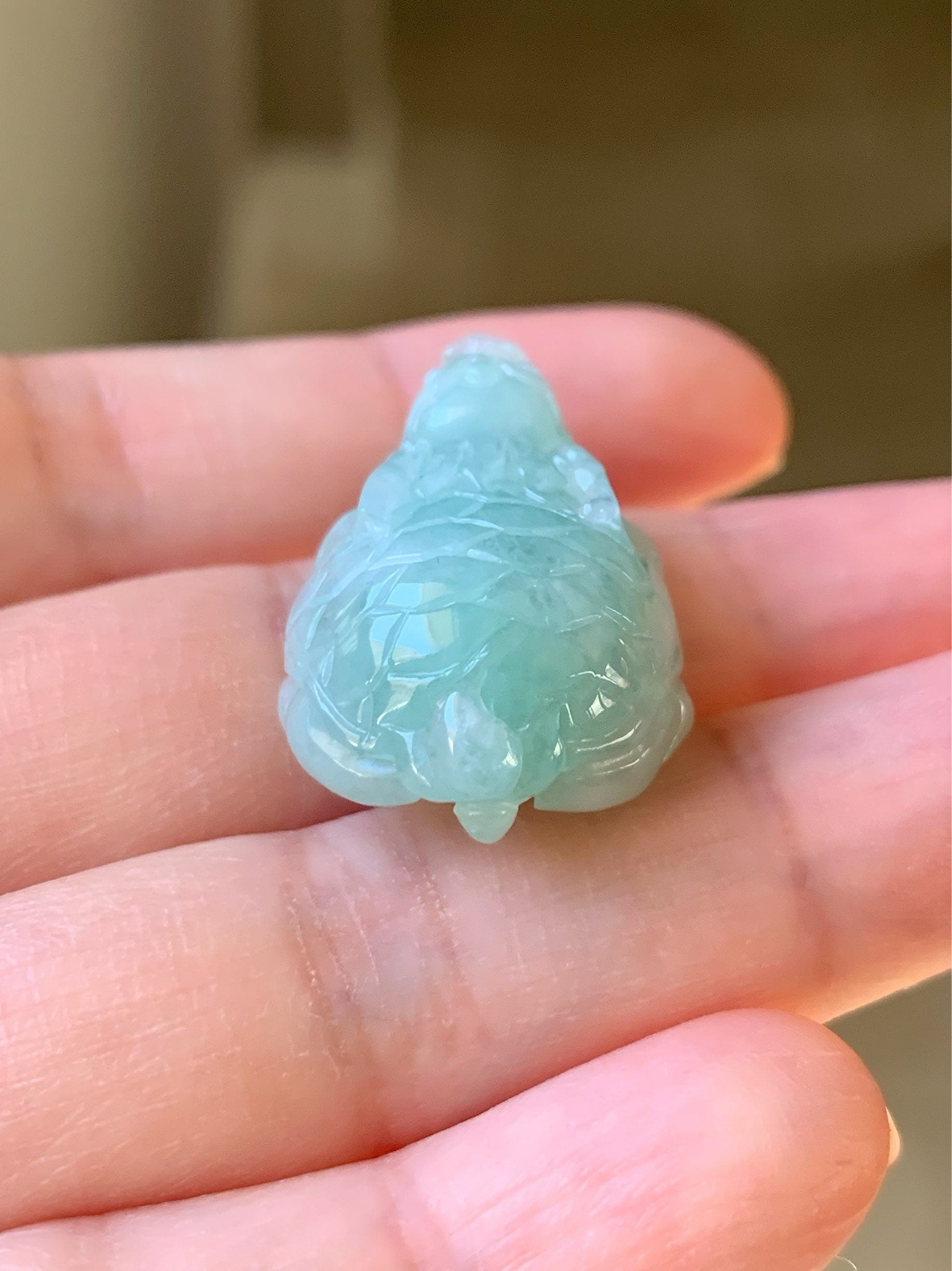 Natural Burmese Icy Translucent Light Green Jadeite Male Dragon Turtle Pendant Rope Necklace Adjustable 25” 10 Grams DT02 天然缅甸糯冰晴底翡翠带吧龙龟吊坠
