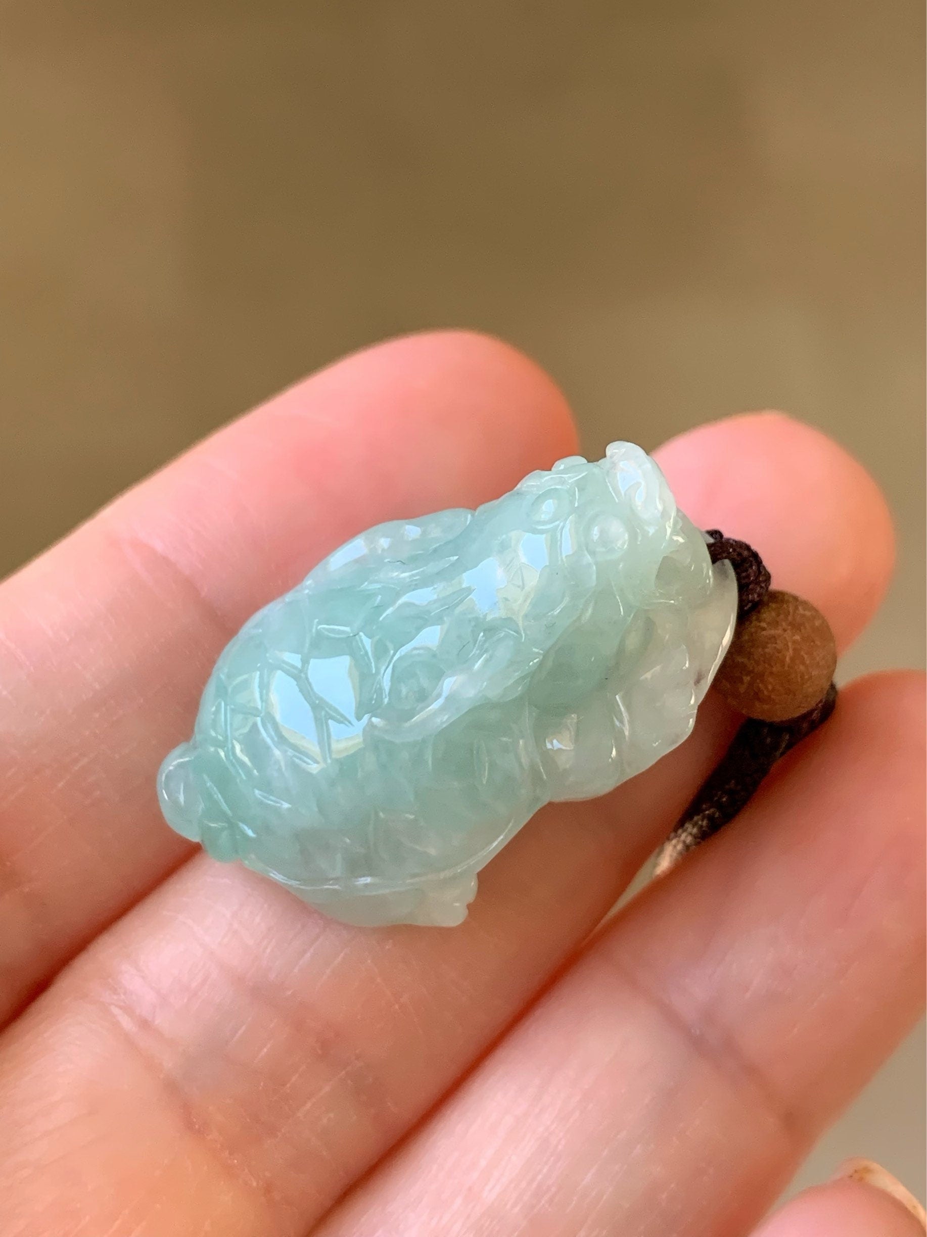 Natural Burmese Icy Translucent Light Green Jadeite Male Dragon Turtle Pendant Rope Necklace Adjustable 25” 10 Grams DT02 天然缅甸糯冰晴底翡翠带吧龙龟吊坠