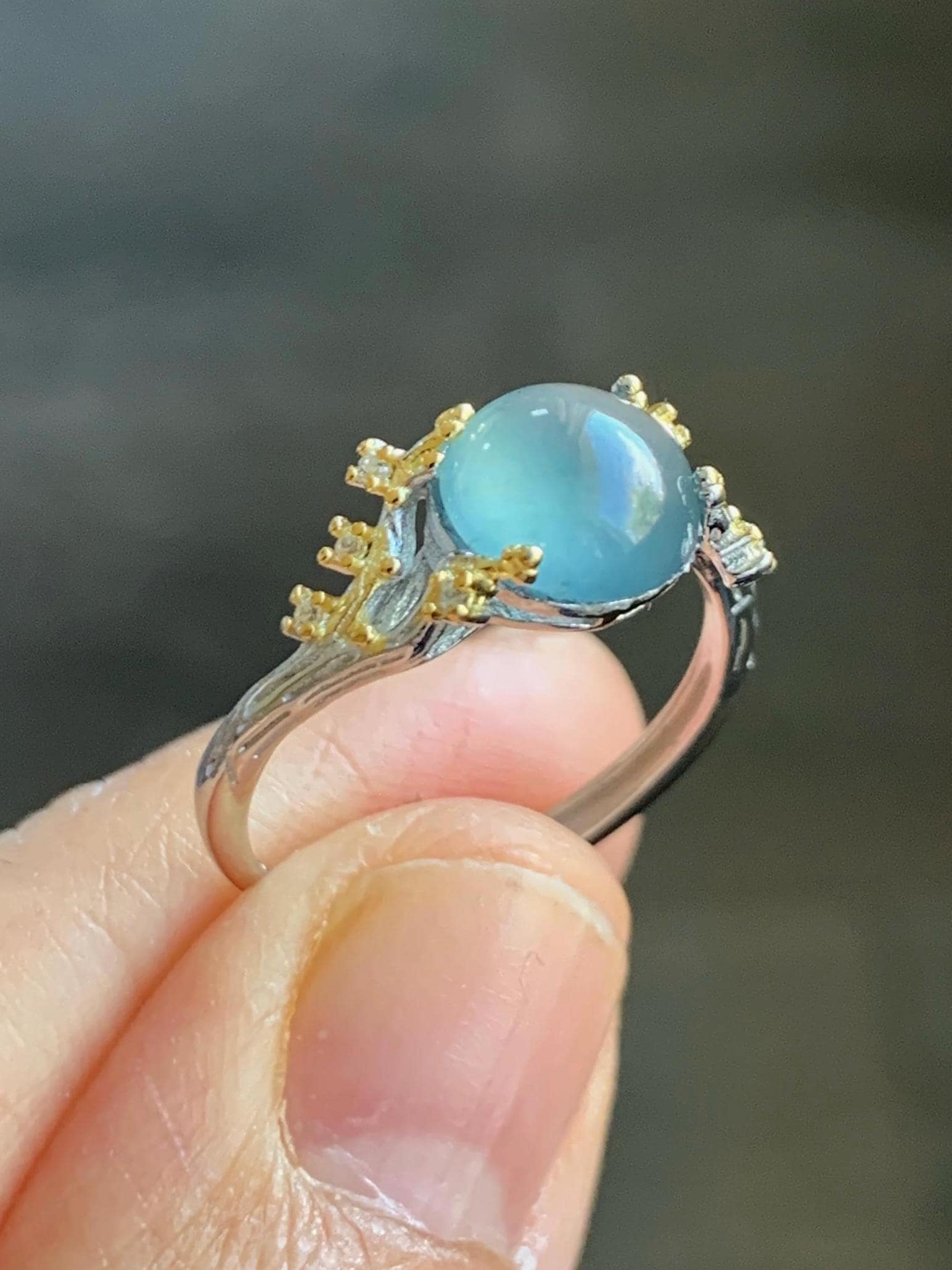 Natural Guatemalan Icy Highly Translucent Light Teal Blue Jadeite Tree Branch Design Ring Sterling Silver Adjustable 天然冰危蓝起光翡翠树枝银镶戒指 MHYA