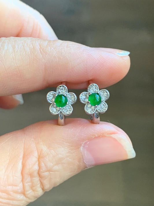 Natural Grade A Guatemalan Icy Translucent Vibrant Green Jade Jadeite Cherry Blossom Hoop Huggie Earrings Sterling Silver 天然冰危绿翡翠梅花款耳包 ZMH68