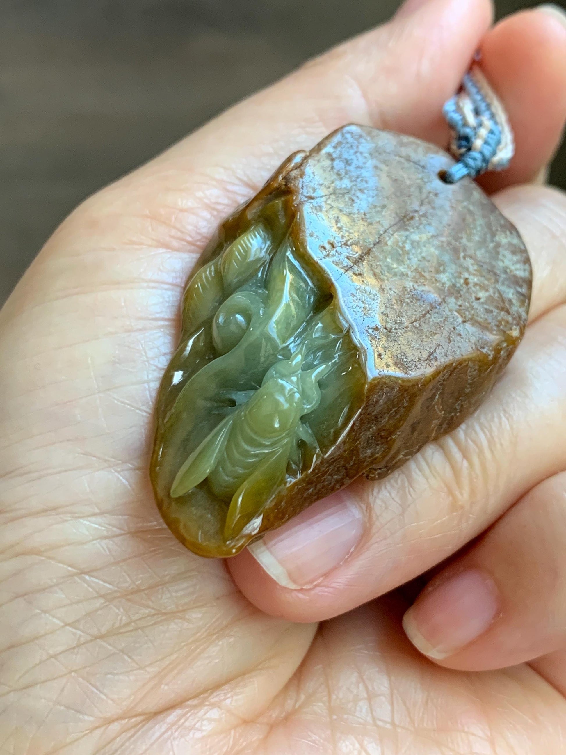 Natural Grade A Guatemalan Yellow Jade Jadeite w/ Brown Rind Carved Cicada Teardrop Pendant Rope Necklace 27" 33g 天然危黄翡翠知了蝉皮壳料吊坠 WHP368B