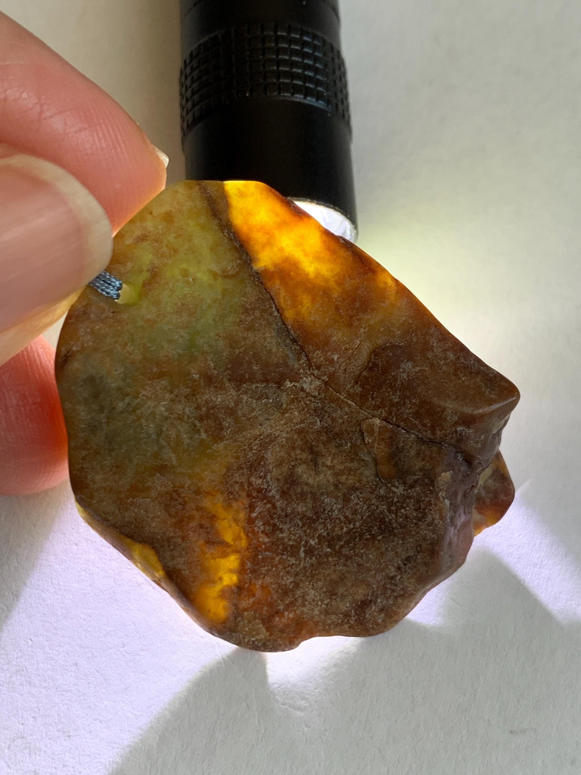 Natural Grade A Guatemalan Icy Light Blue Jade Jadeite w/ Brown Rind Carved Cicada Pendant Rope Necklace 27.5" 26g 天然危黄翡翠知了蝉皮壳料吊坠 WHP368D