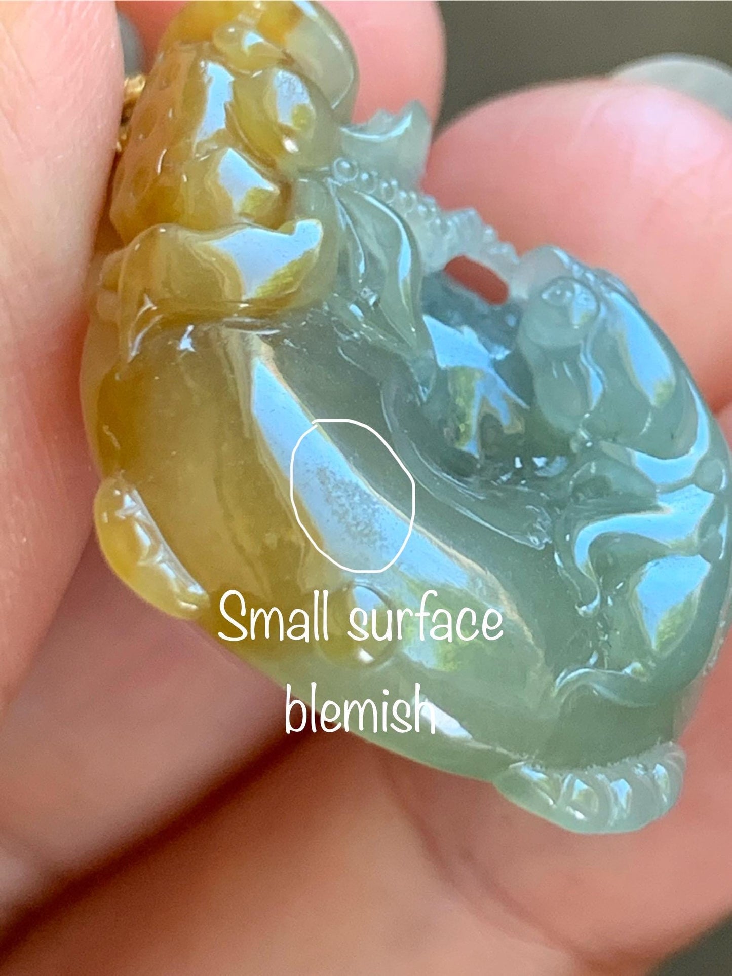 Certified Natural Grade A Icy Translucent Bicolored Jade Jadeite Lotus & Goldfish Ping An Kou Donut Pendant Rope Necklace 天然冰胶翡翠莲花鱼平安扣吊坠 449